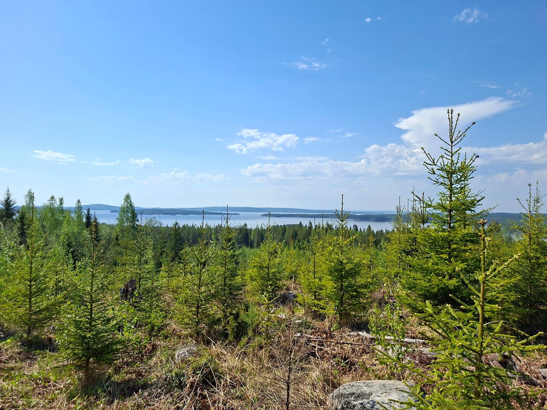 PIHTI 422-429-19-29, Varisvaara 1