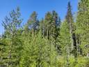 Metsämaa 765-408-51-17 1