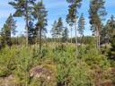 Mäkimaa 935-426-3-205, Mäkirinne I 935-426-3-163 ja Saari-Metsälä 935-426-3-204 1