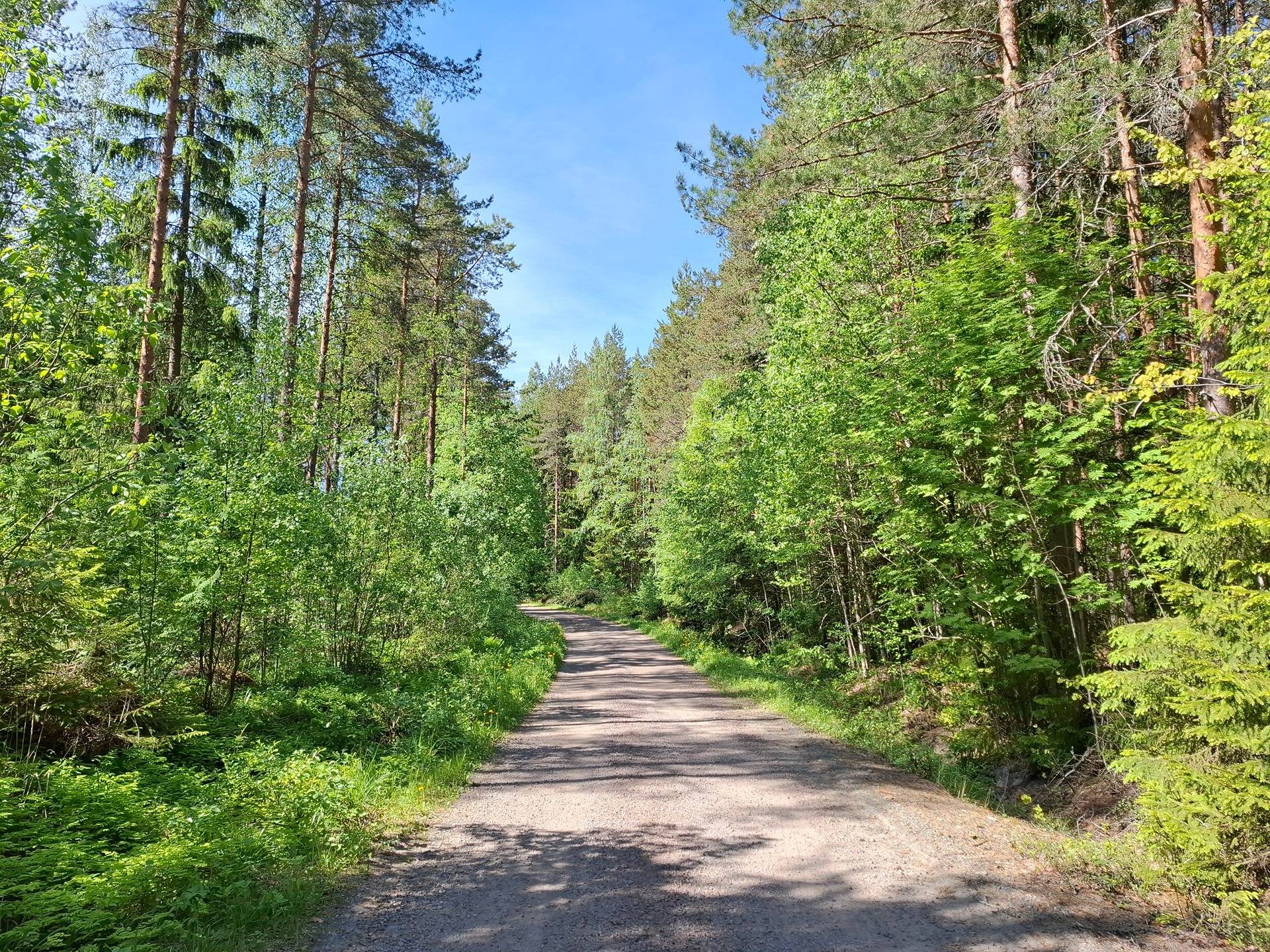 Metsätaikimus 3:250, Ihakka 2:27 ja Keskinen 3:174 määräala 1
