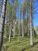 Jukola 305-408-48-1 1