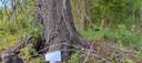 Määräala metsää Pomarkussa, Peltoniemi 1