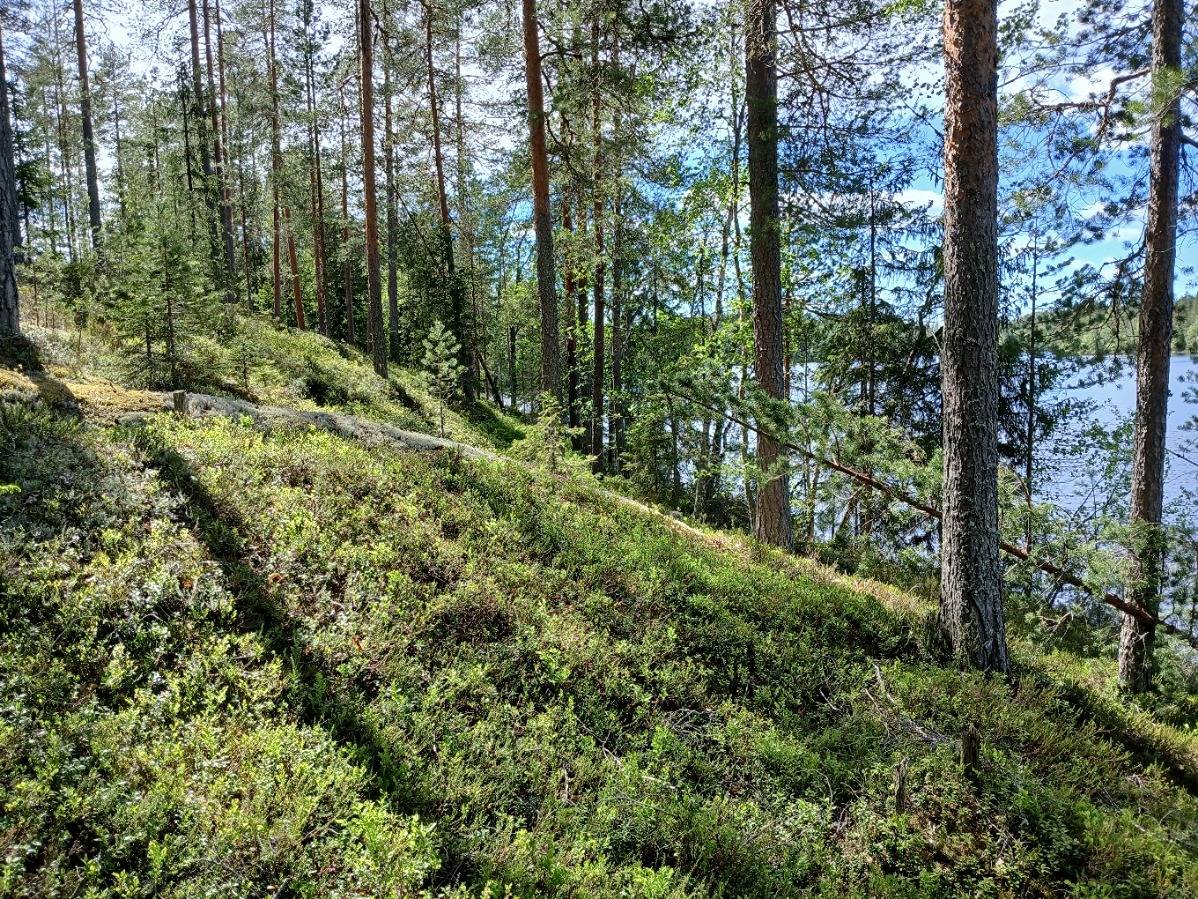 Hakola 2:26, Kuhmoinen, myyjä pidättää määräalan 1