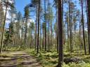 977-404-8-11 LYSTILÄ, MÄÄRÄALA 1