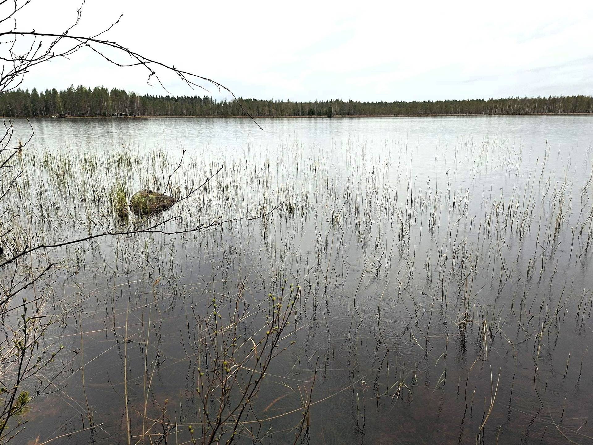 Koivumäki 23:49 1