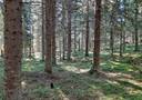Mäenpää 6:38 (844-414-6-38) 1