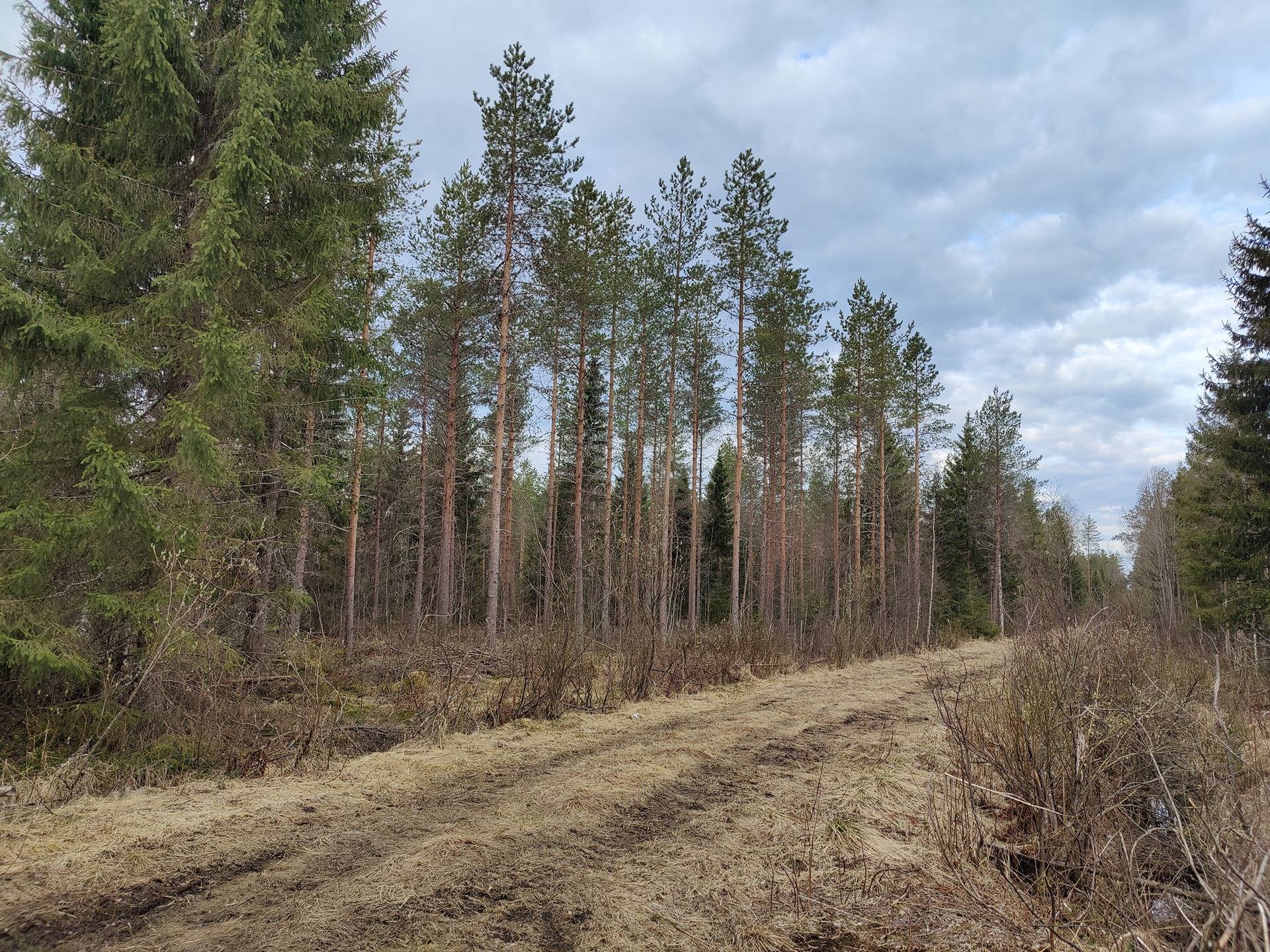 977-402-2-82 KELTAMAA 1