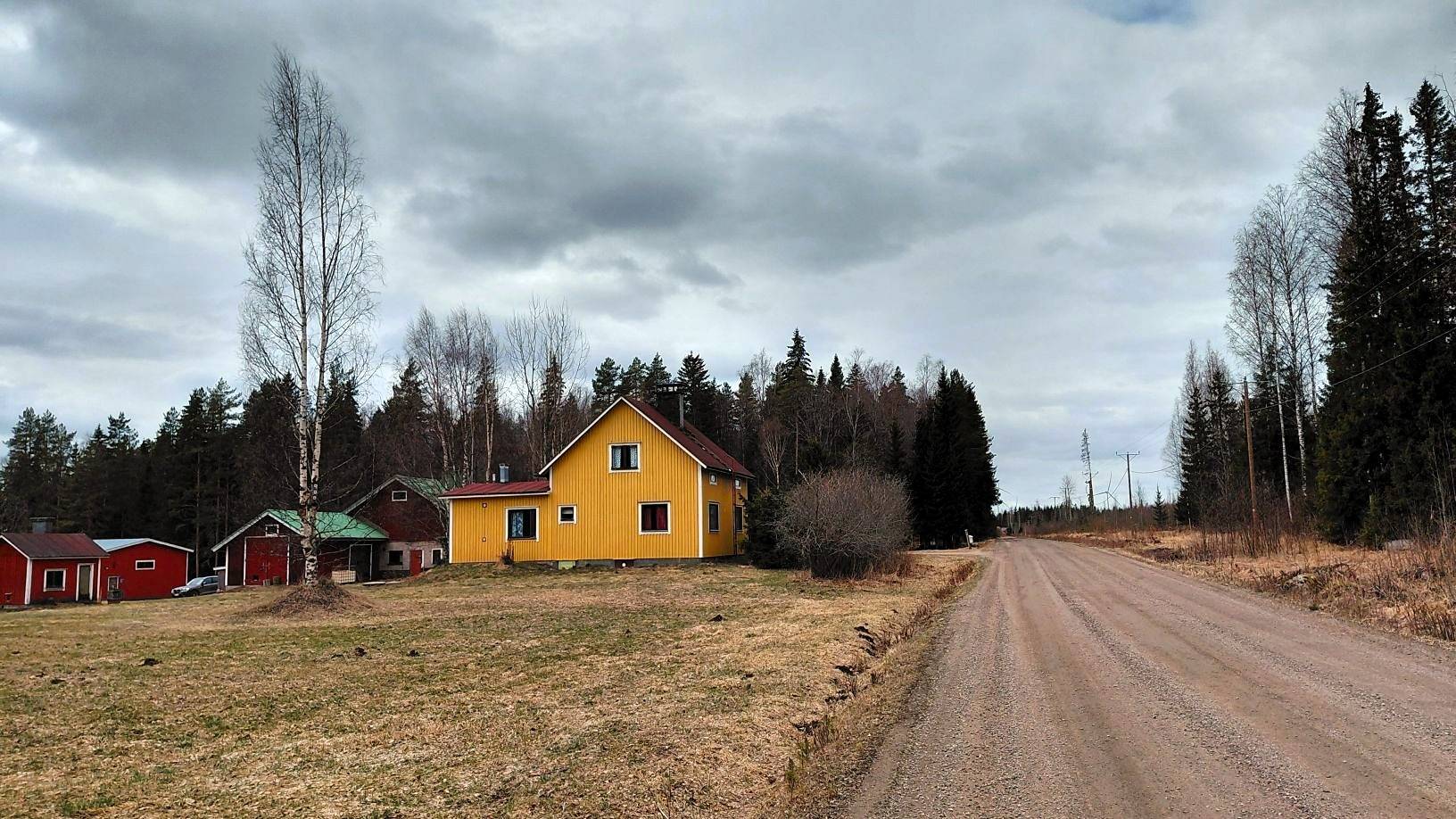 Koivuaho (593-402-2-31) ja Saareke (593-435-7-13) 1