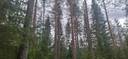 607-414-101-48 KUUSISALO, Ukonniemi 1