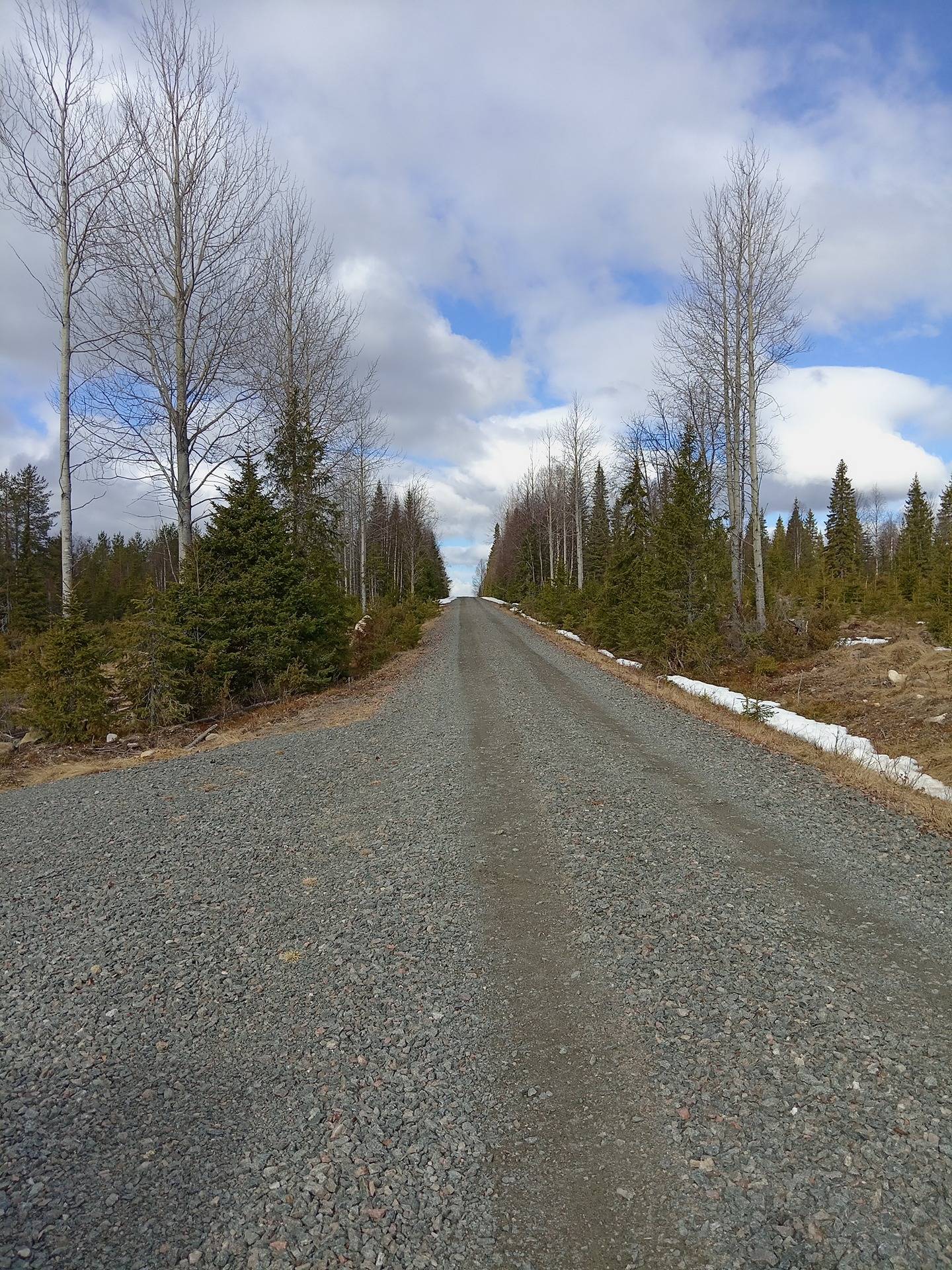 Törmälä 305-402-19-4 1