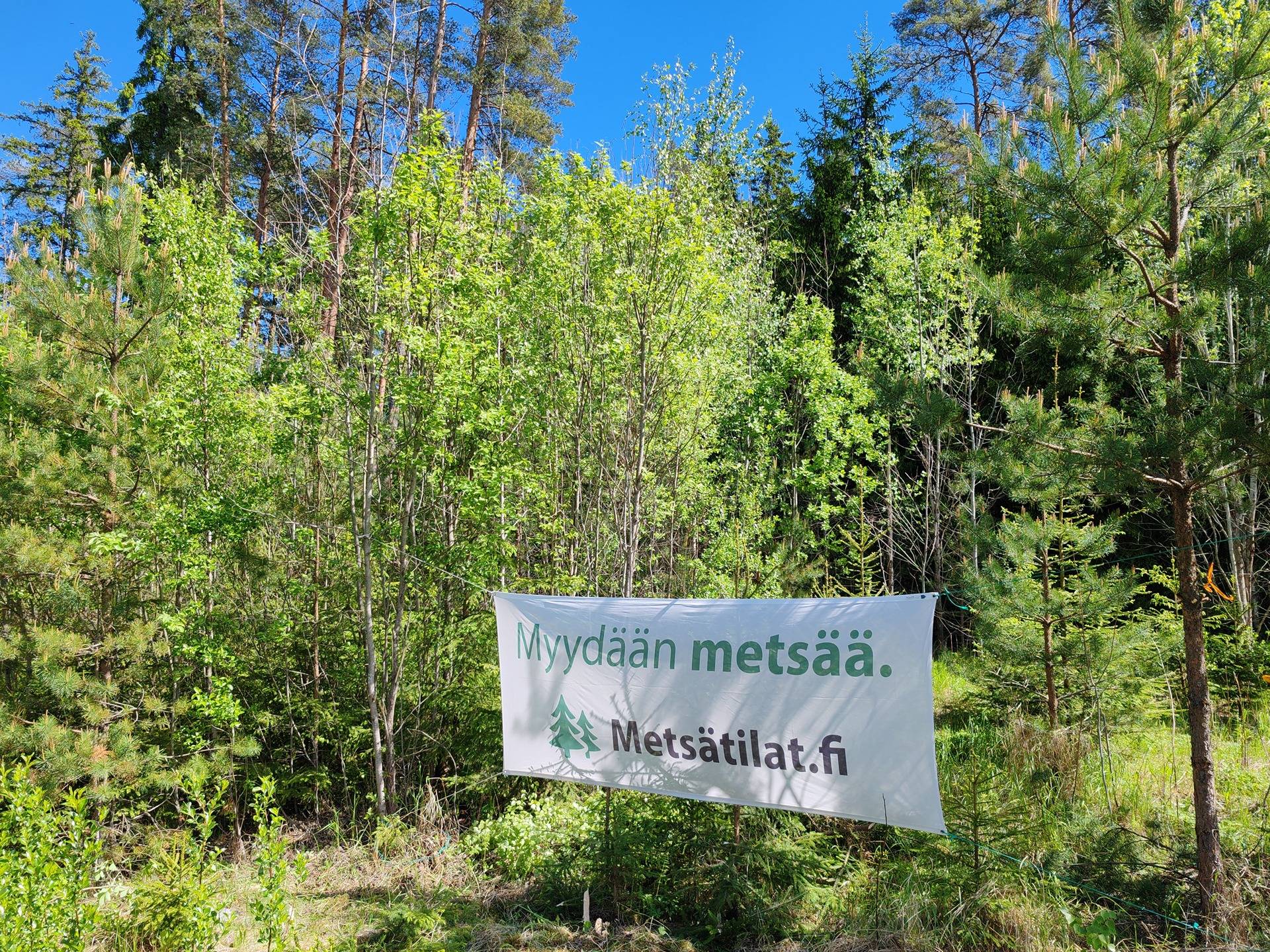 Metsätilat Yliääri 1:600 ja Nurmela 1:599 /Kuovin teollisuusalueen tonttialuetta, Aura 1