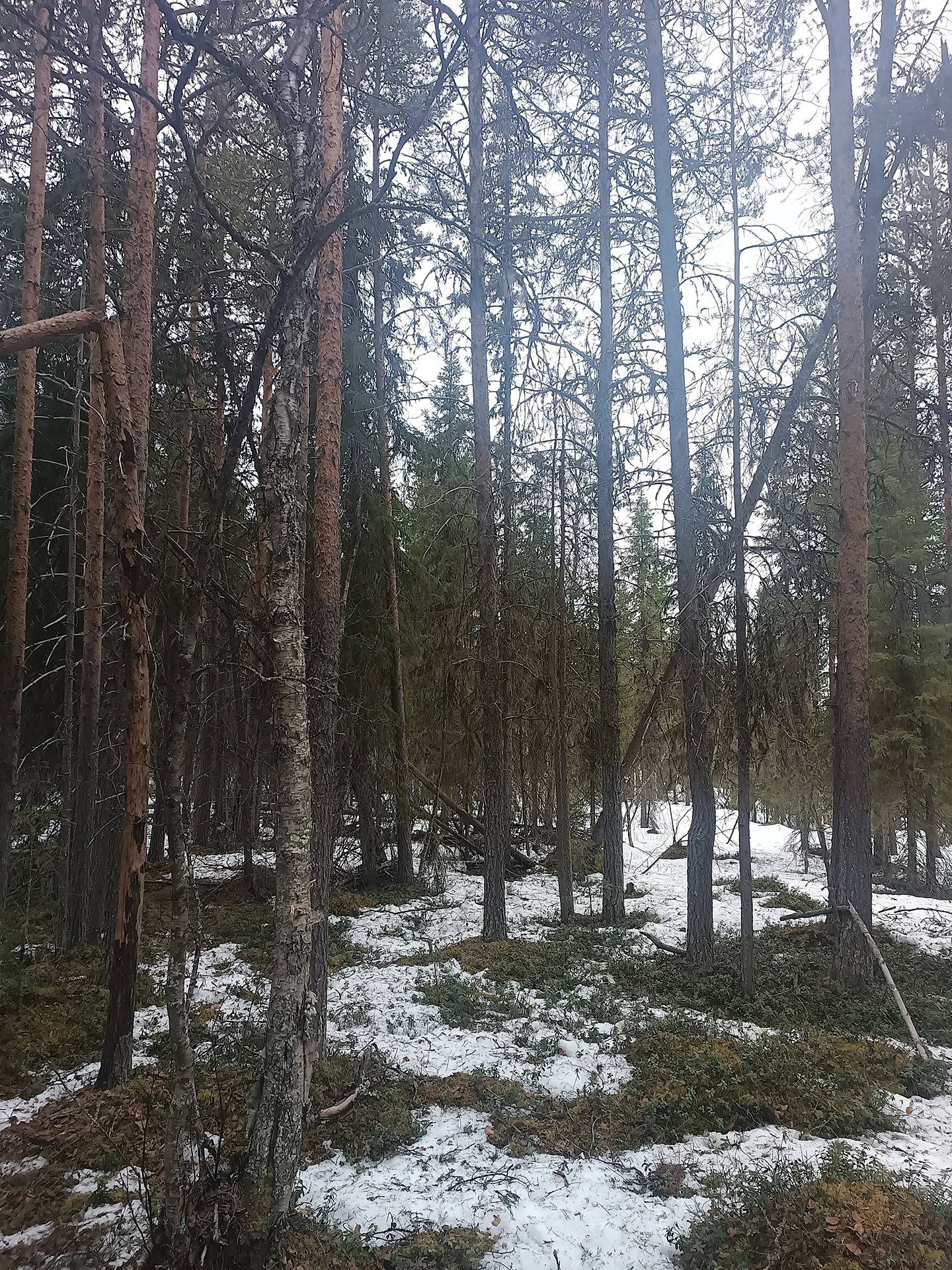 Mikkola 261-407-4-13 1
