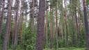 Hannolanmetsä 740-547-14-118 1