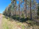 Metsätila Lisä-Hietanen 90:0 1