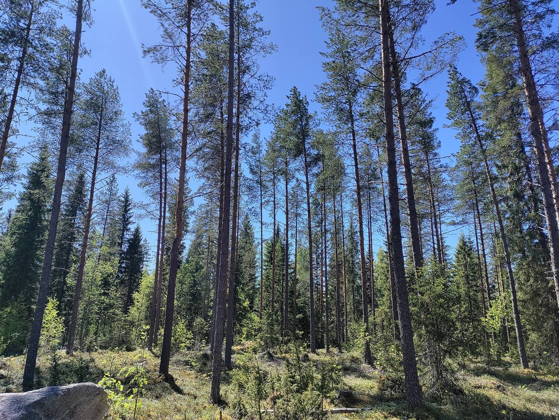 Metsä-Mattila 625-402-82-0 1