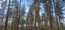176-403-74-17 TYRMÄLÄ, Lonkaa 1