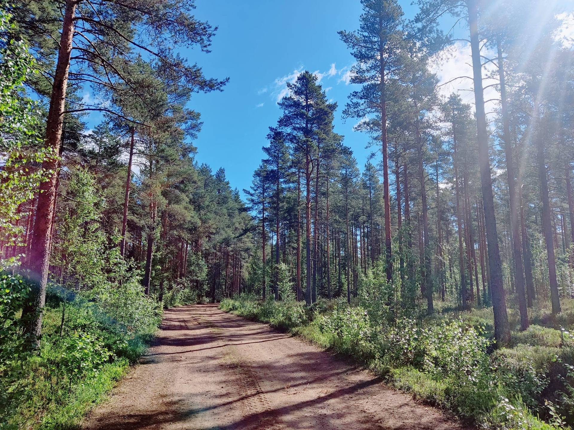 Kannus krekilä Vanha Rekilä 1 ja 2 yhteensä 24,55 ha. Lisäksi osuuksia Viirrejärvi 29-0 tilaan. 1
