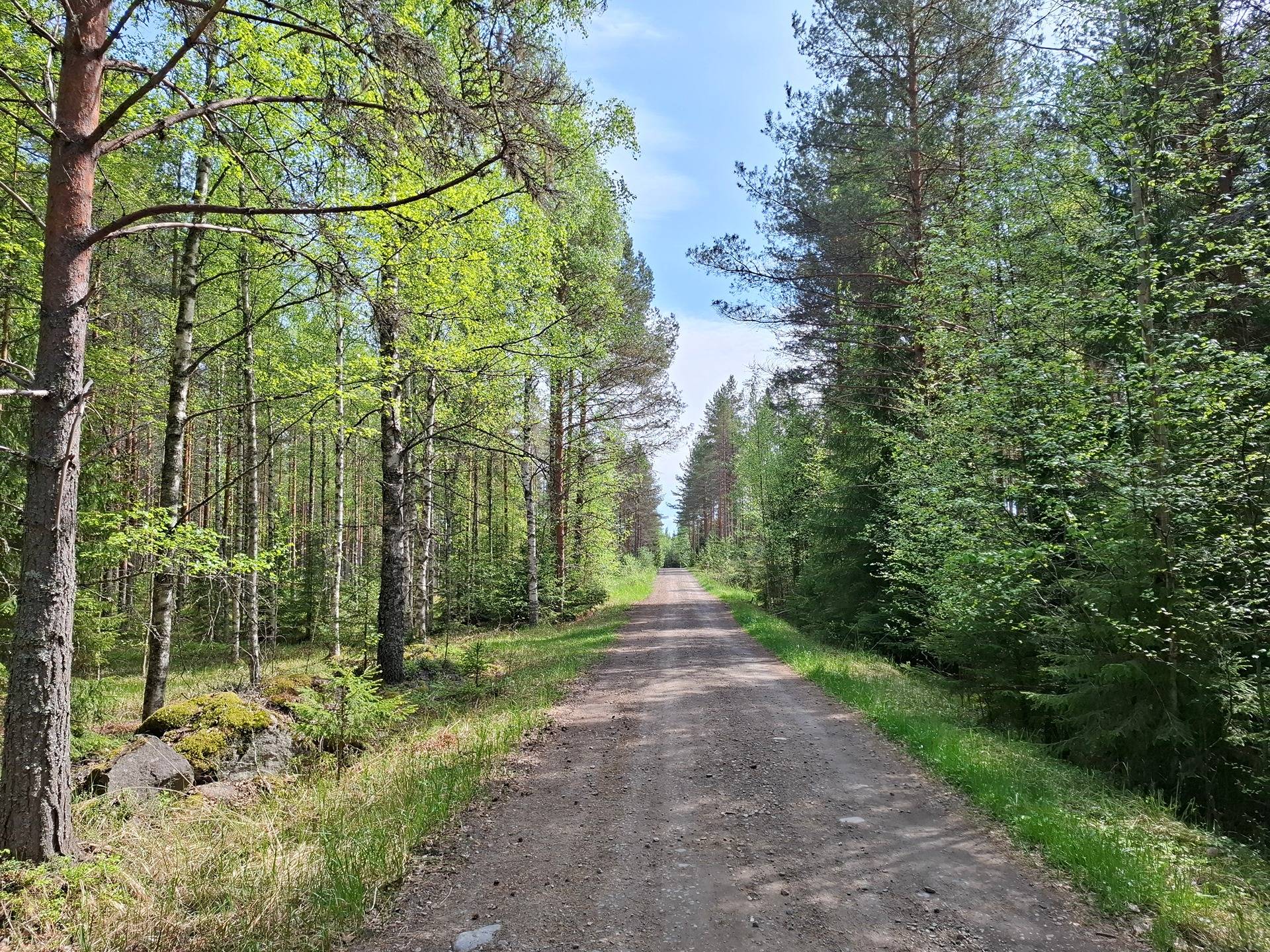 Metsälä 23:23 1