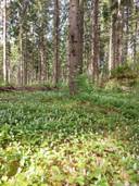 Paananlahti 420-428-3-3 ja Paananlahti 420-428-1-6 1