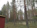 Lisä-Väisänen 425-402-54-49 ja Marjala 859-412-11-35 1
