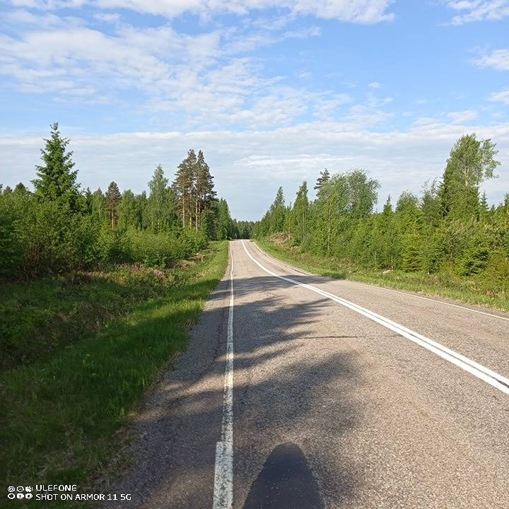 Cover photo for the object Metsätila, Mustalahti 226-404-1-8, Mustalahti 226-404-5-42
