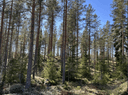 286-447-4-13 Maannenä 1