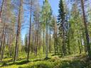 Välikumpu 683-402-33-25 1