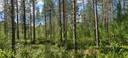 Alavus, Yli-Saarijärvi 10-405-14-101 määräala 1