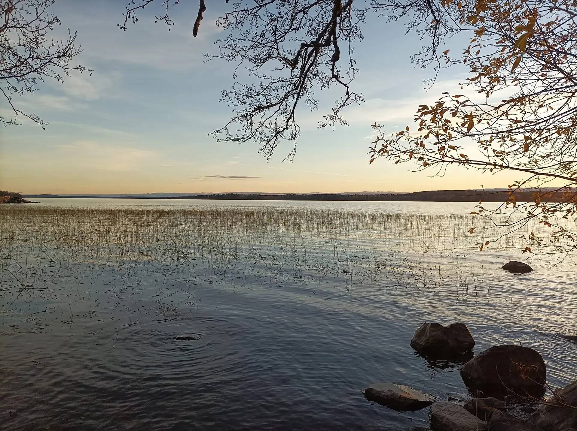 Orivesi, Pajukanta, mökkitontti Längelmäveden rannalta 1