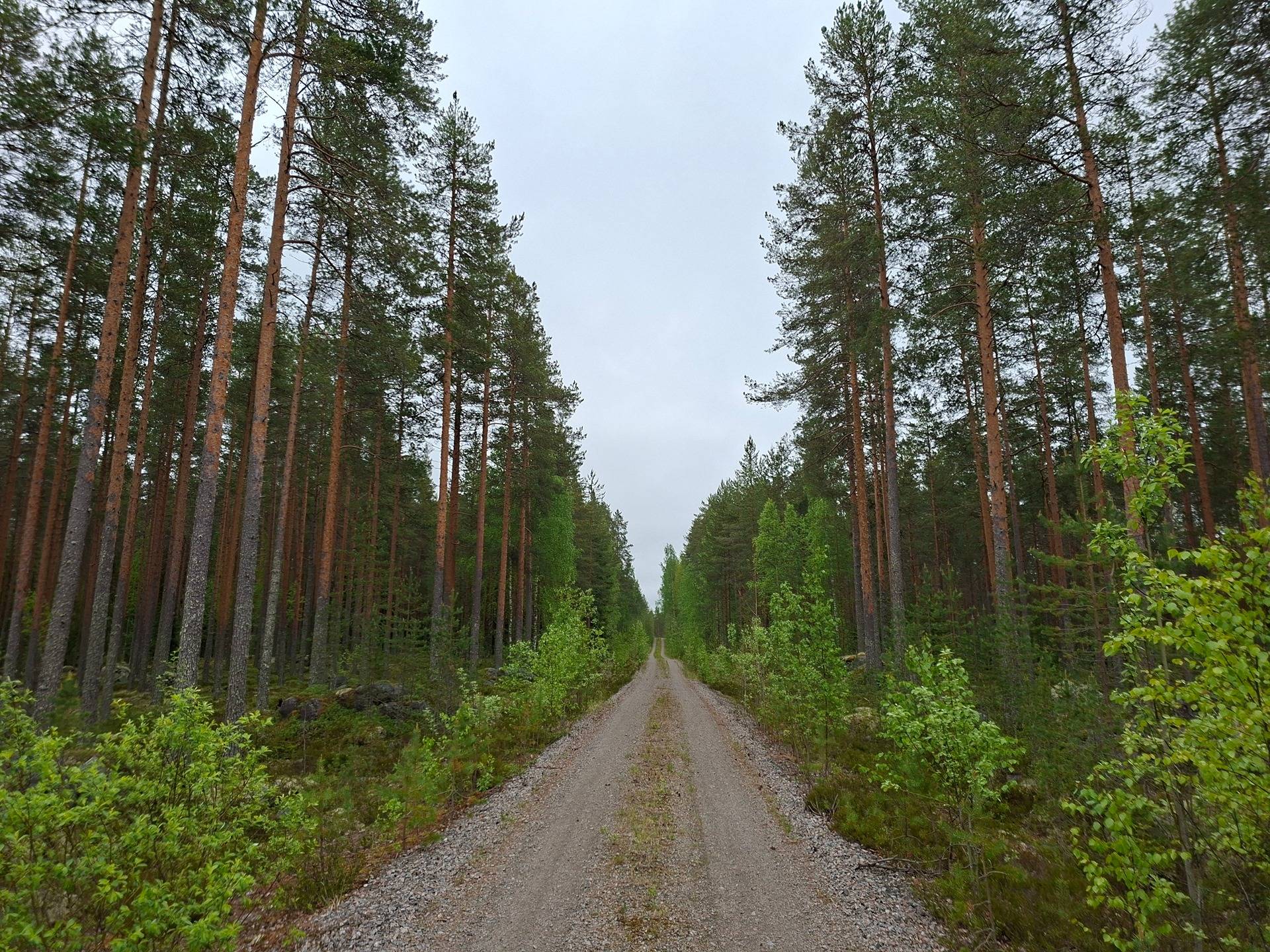 METSOLA 422-432-92-1, Vuonisjärvi 1