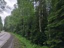 Metsätilat Iso-Säli 1:18 ja Kirsilänkoski 6:19 1