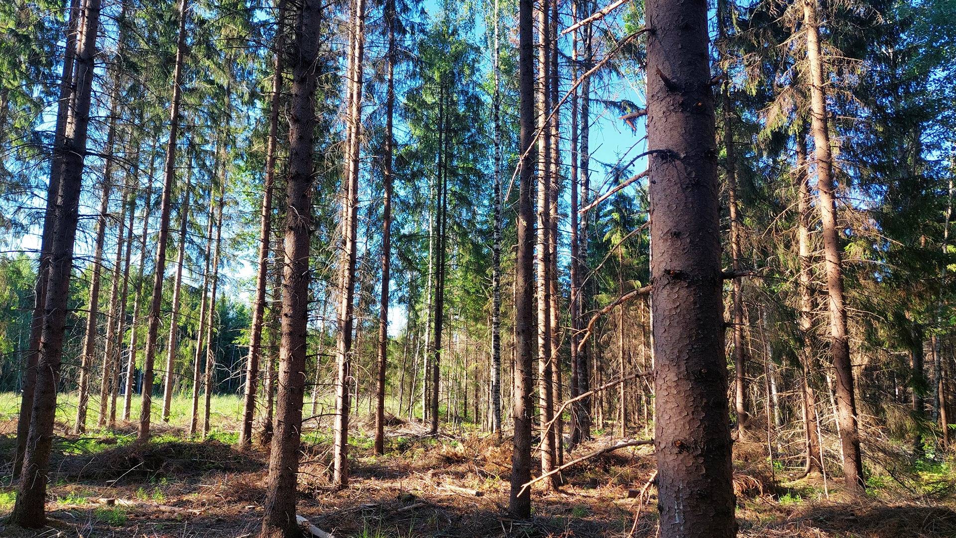 Eskola 700-411-1-64 1