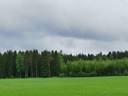 Metsätila: 11,57 ha; Joutsela I; 636-449-9-0, Pöytyä, Linnanmäentie. 1