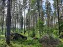 Rintelä 1:76 ja Karjula 1:159 1