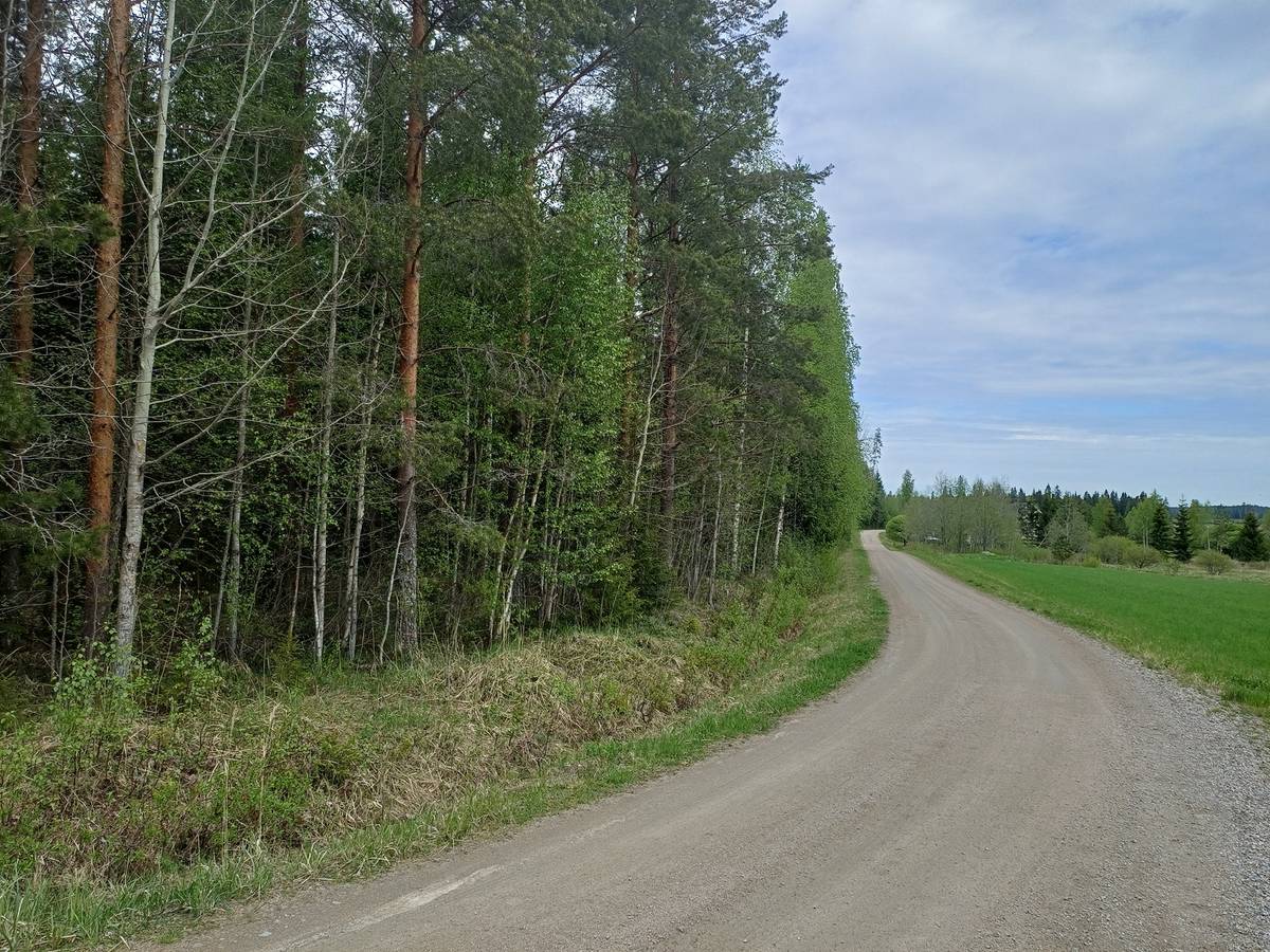 Cover photo for the object Honkola, Metsä-Simola 992-401-15-0