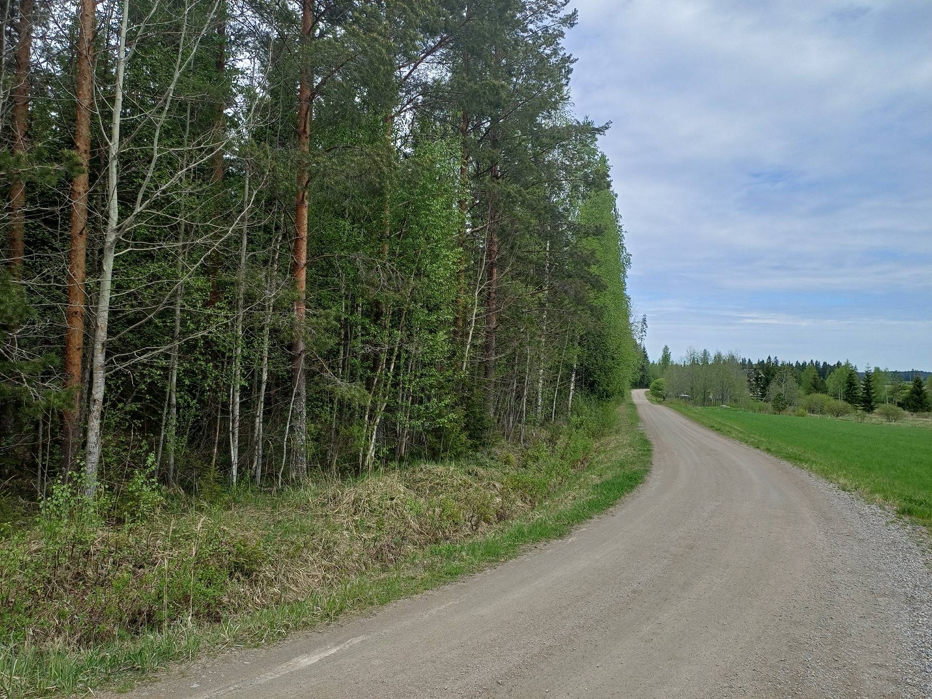 Honkola, Metsä-Simola 992-401-15-0 1