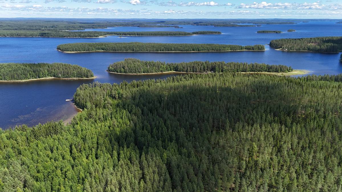 Cover photo for the object Kalaniemi, Rajala 992-458-5-5 & Haarapuro 992-458-5-20