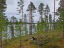 Ukonvaara 305-403-16-13 1