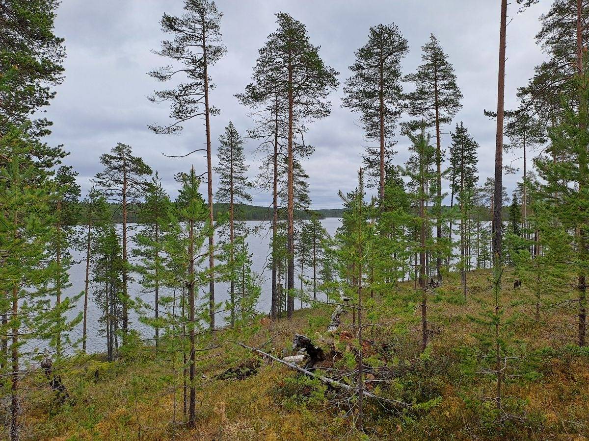 Ukonvaara 305-403-16-13 1