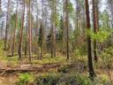 Metsätila(Määräala), noin 6,5 ha; Vesola; 503-480-2-23 Mynämäki, Aulijärventie. 1