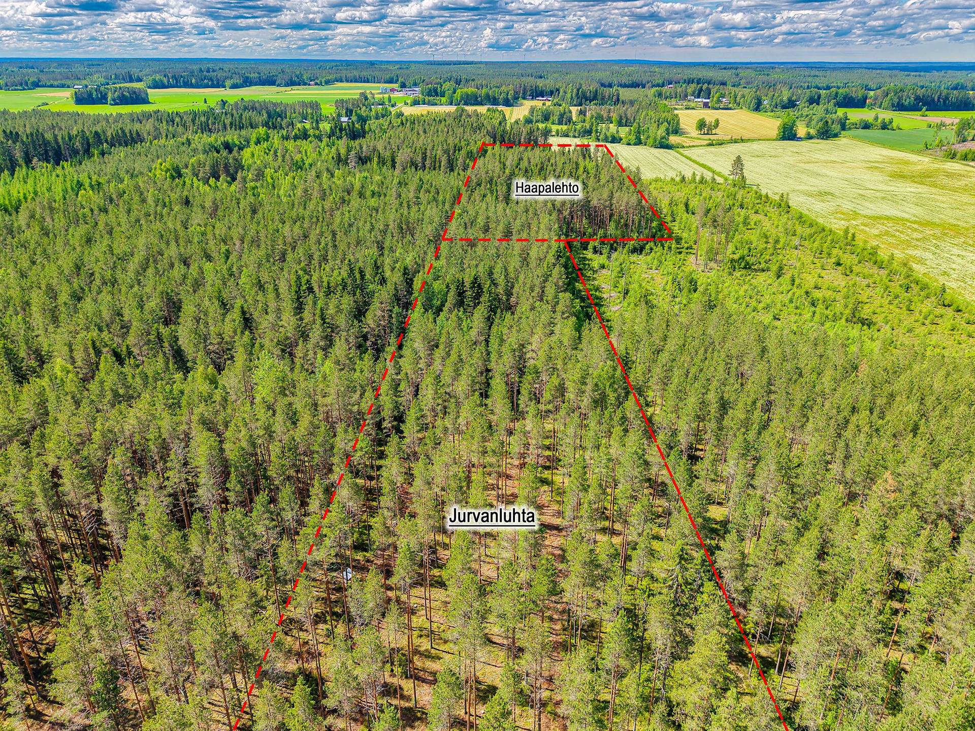 Lapua, Jurva, määräalat Haapalehto 408-404-3-102 ja Jurvanluhta 408-404-93-0 1