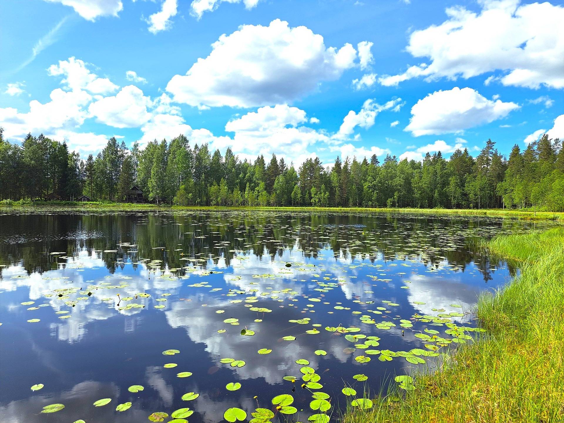 Kauhava Kantola KYLÄNPÄÄ 11:556 metsäpalsta 36,4 ha 1