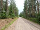 Metsätilat Harjunsalo ja Harjunsivu 1