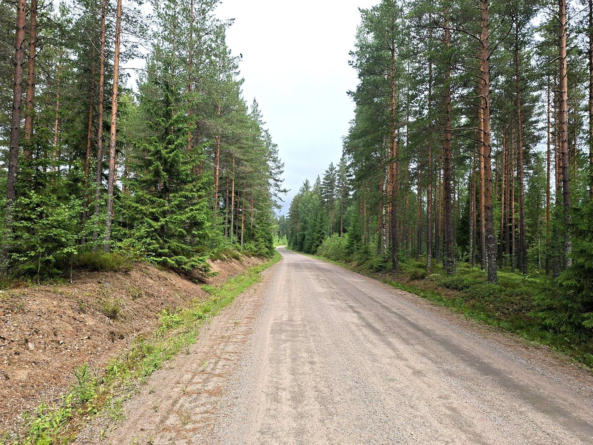 Metsätilat Harjunsalo ja Harjunsivu 1