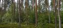 Seinäjoki, TEVANIEMI 743-413-19-6 1