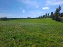 JOKILUHTA 108-416-8-3 ja 108-416-3-44 ( peltoa ja metsää) 1