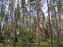 Metsätilat Suontausta 109-583-1-23, Hevonojanmetsä 109-583-1-113, Kettumäki 109-583-1-75, Kulomäki 109-583-1-136 ja Pursunjärven vahvistinasema 109-580-10-0 1