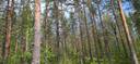 607-402-2-78 Ahosaari, Kinahmo 1