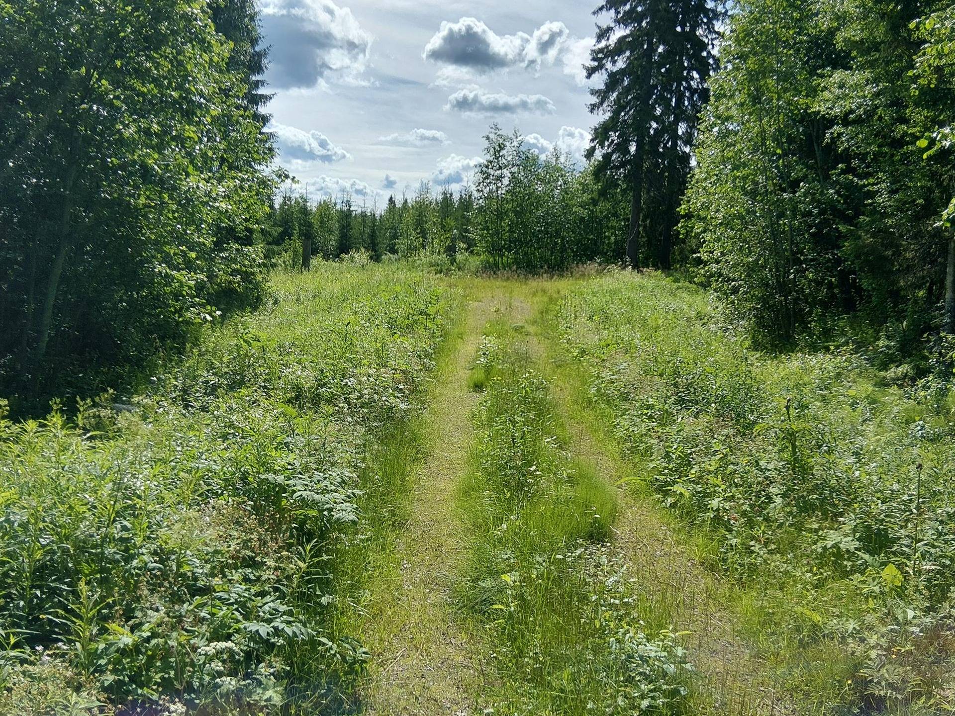 AITTOKORPI 6:25, Takkomäki 1
