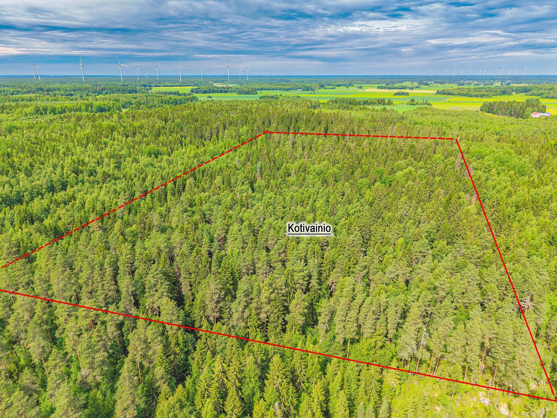 Vähäkyrö, Kotivainio 905-440-3-145, metsätila 1